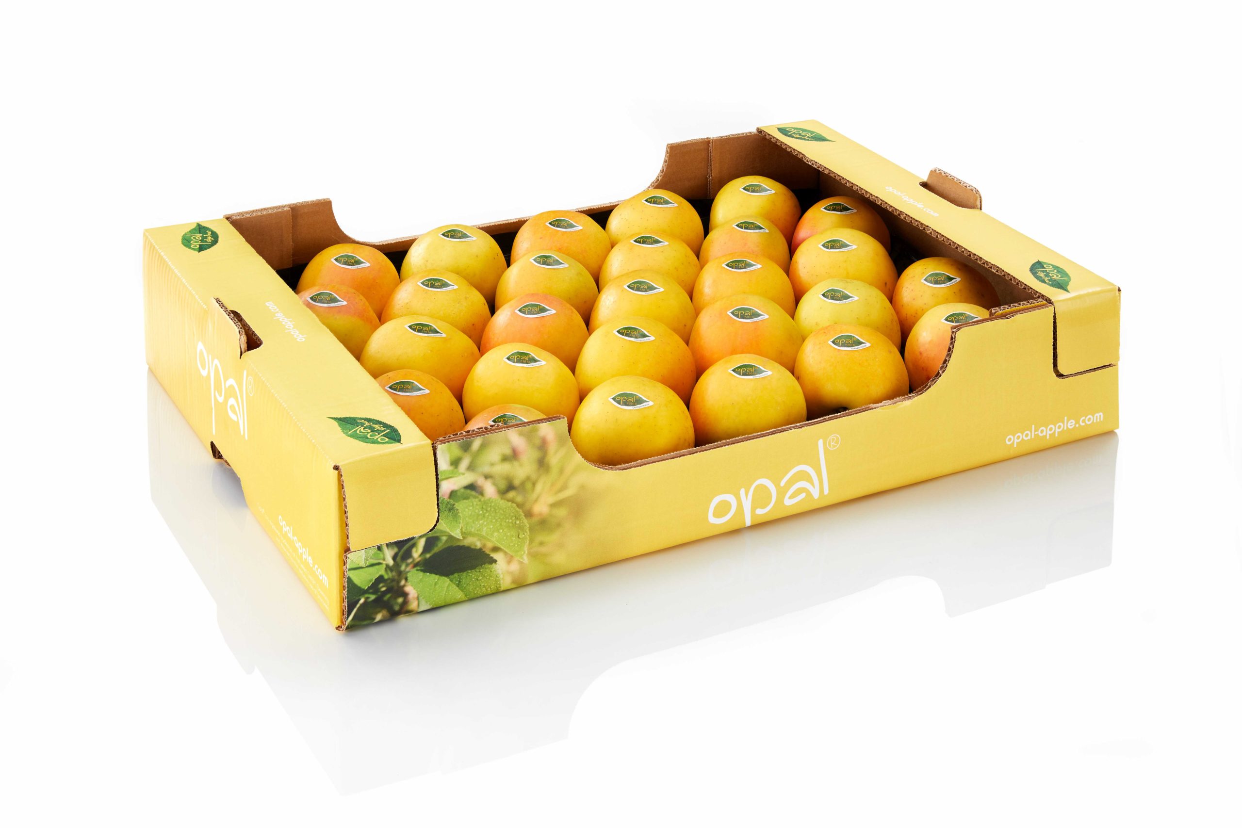Partners – opal apple